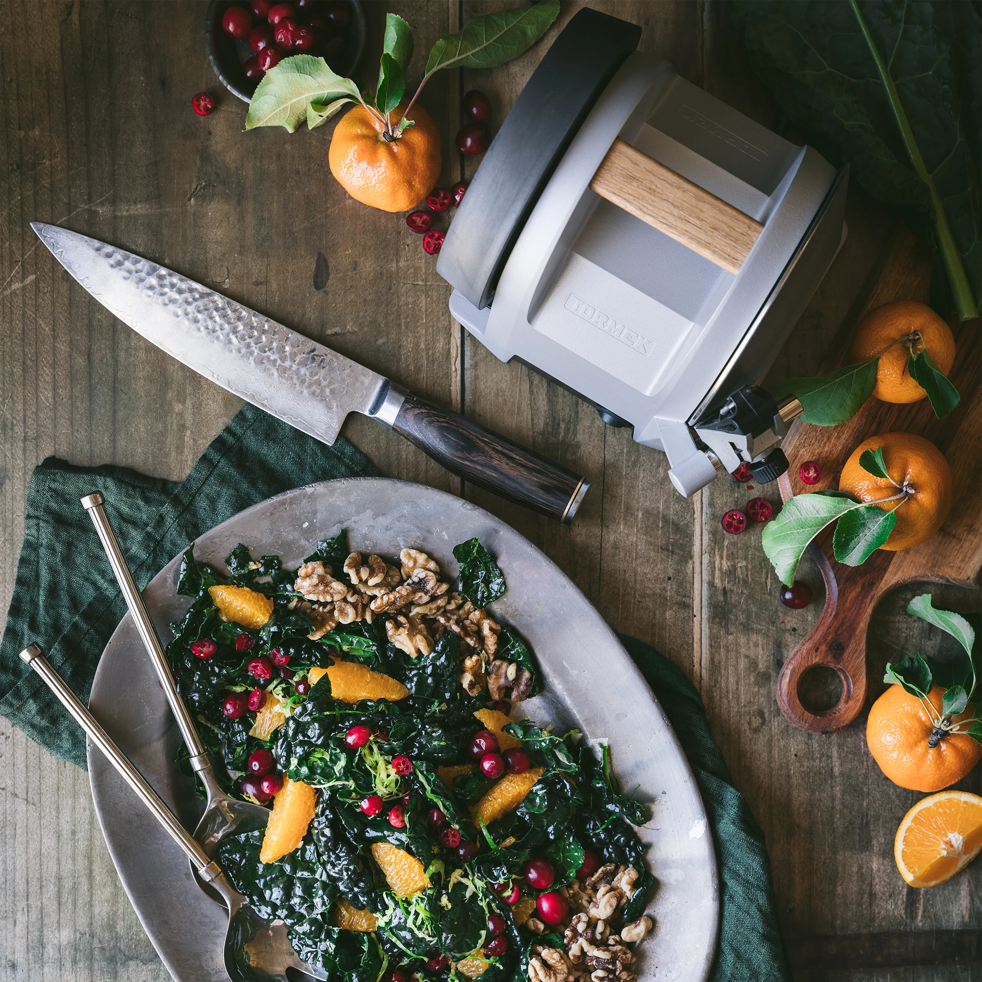 Tormek T-1 Kitchen Knife Sharpener – Zinc Gray