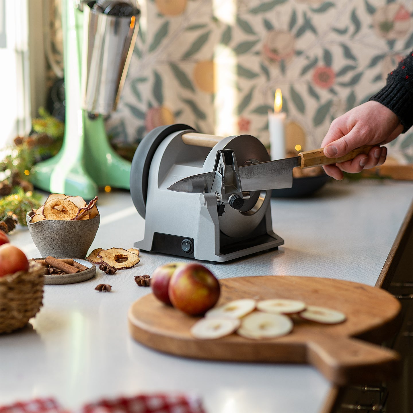 Tormek Online Shop | Tormek T-1 Kitchen Knife Sharpener